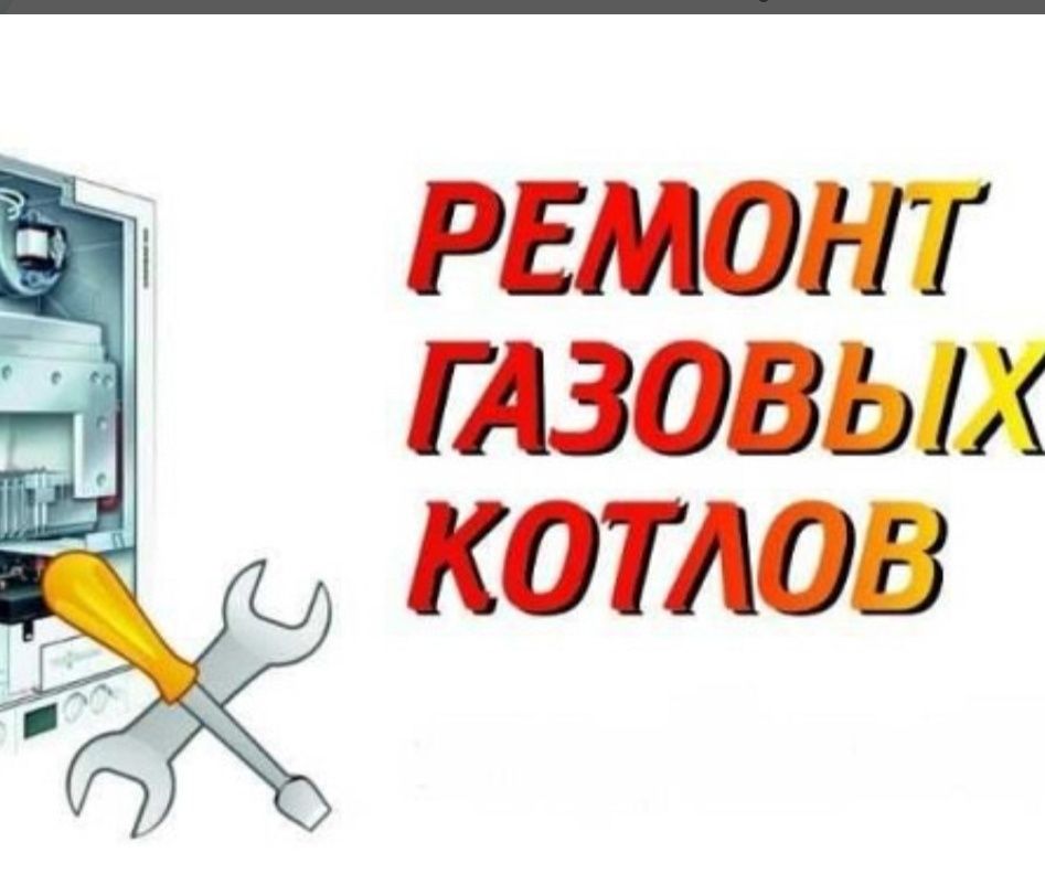 Ремонт газовых котлов, колонок чистка промывка.