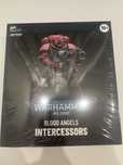 Warhammer JoyToy Space Marines intercessor