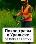 Шоп шабу агаш кесу,
