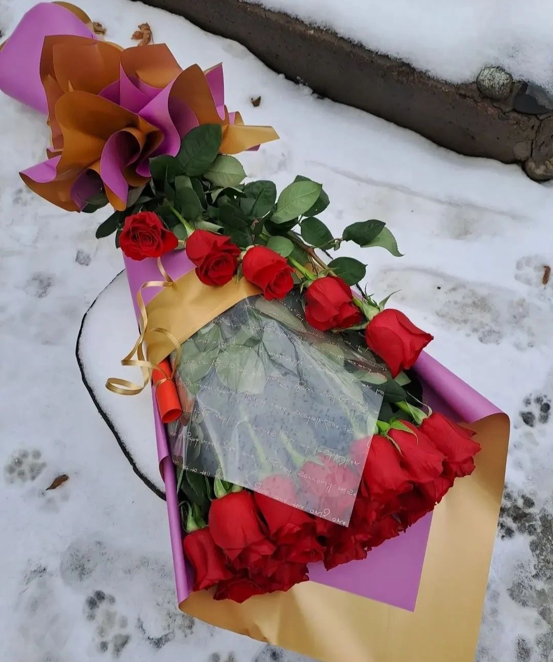 25роз метровые Голландия