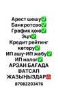 График қою,банкротство,ИП ашу,ИП налог,рейтинг көтеру