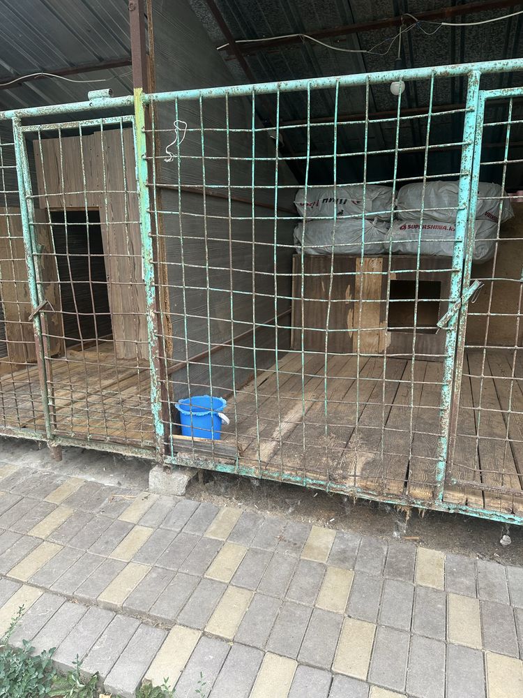Продам вольеры для собак б/у