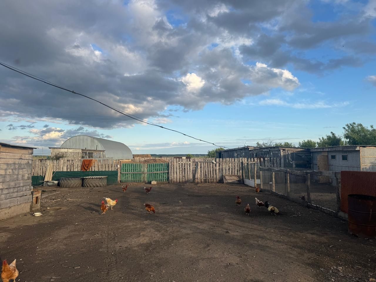 Продам дом с хоз постройками