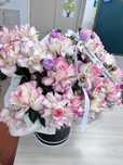 Цветы свежые compliment flowers