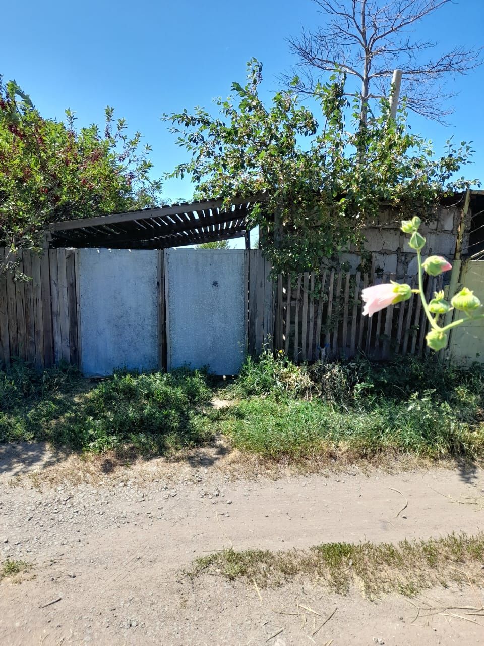 Продам дачу в обществе Алма