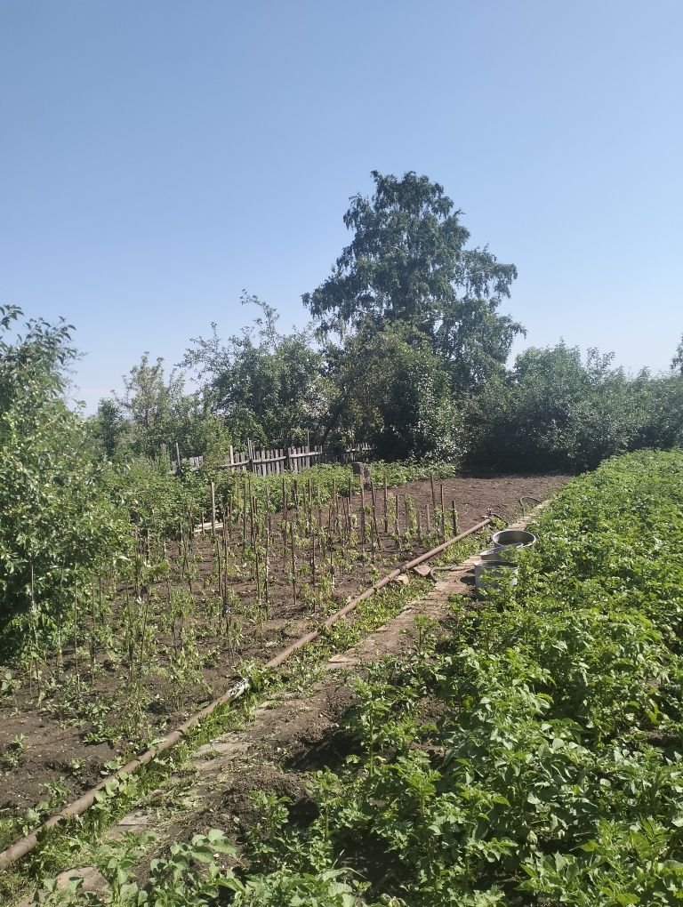 Продается Дача в Обществе трест МЖС