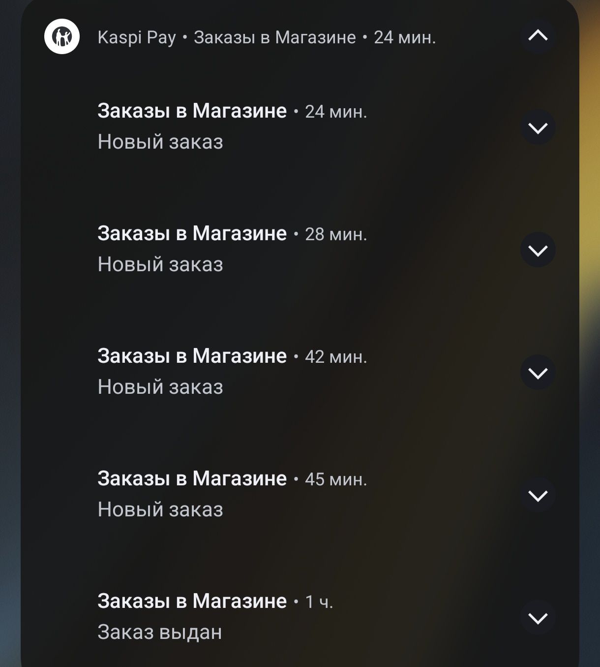 Каспи магазин курс