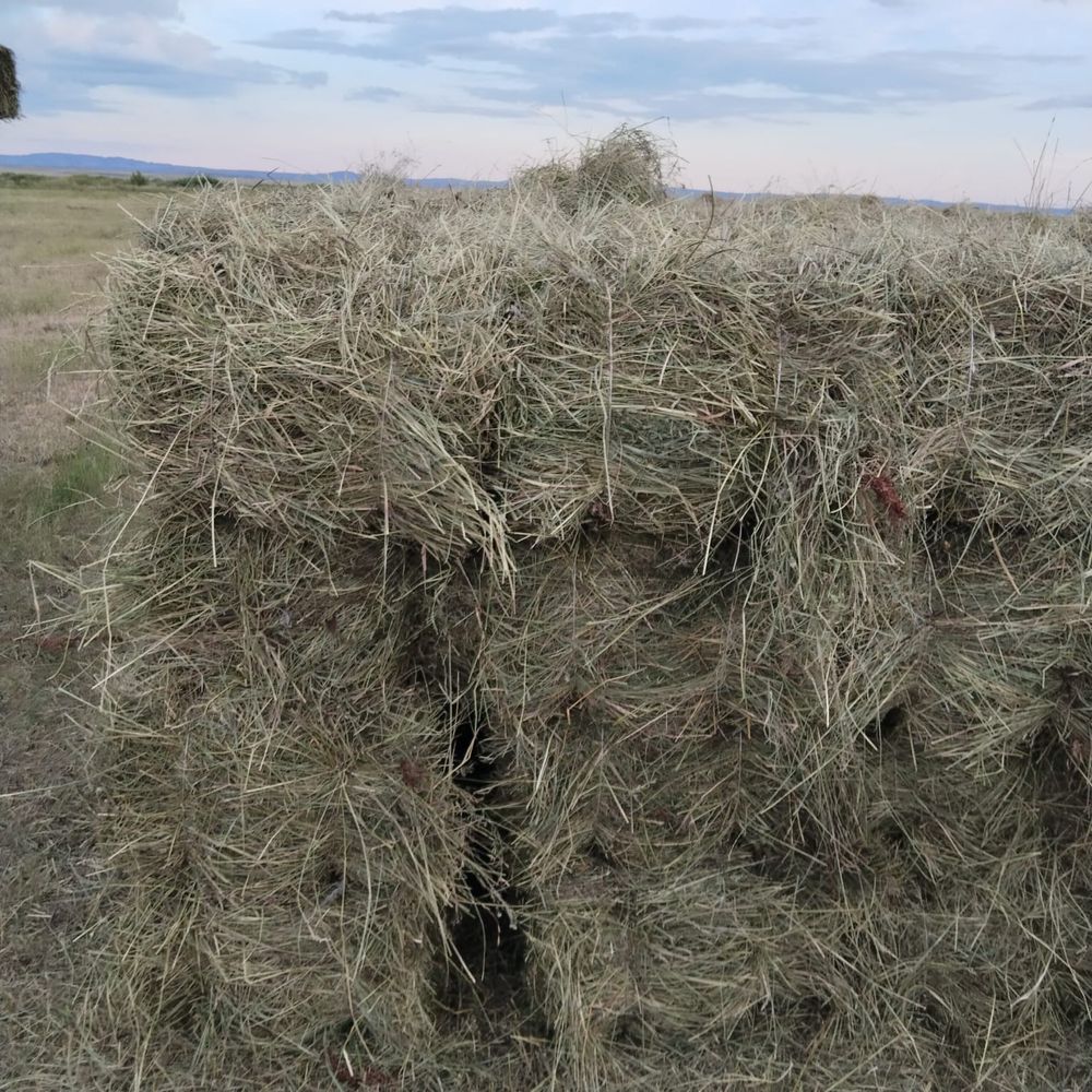 Продается сено в тюках, 900 тенге