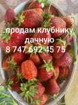 Продам клубнику дачную