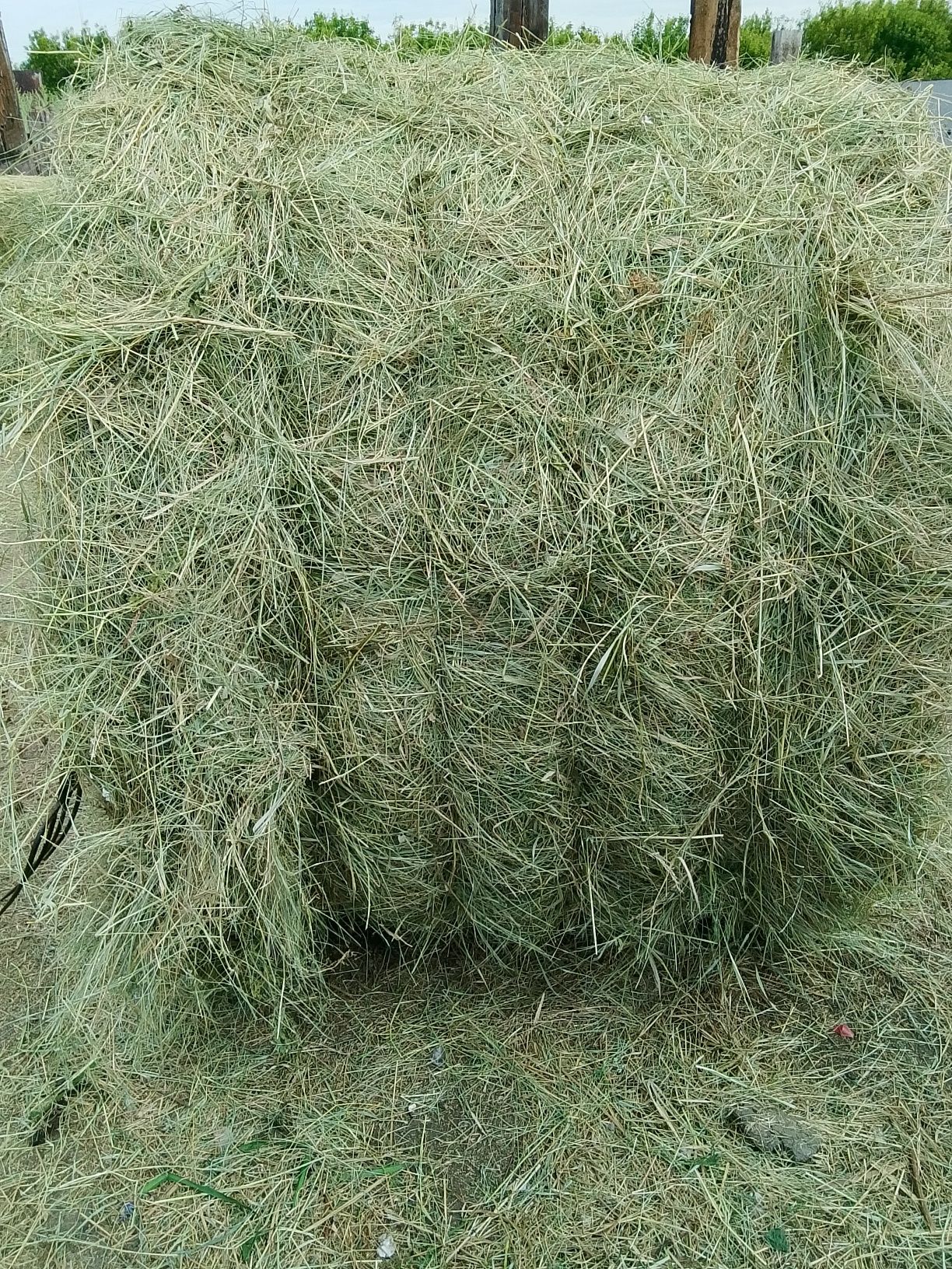 Продам сено, разнотравье