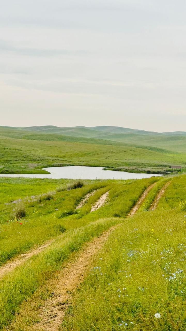 Фазенда в поселке Турар