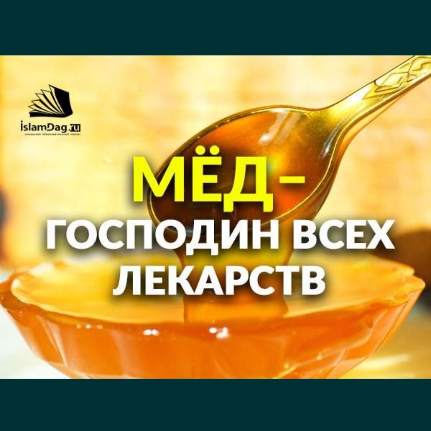 ПОДСОЛНУХОВЫЙ терпкий мёд Заилийского Алатау
