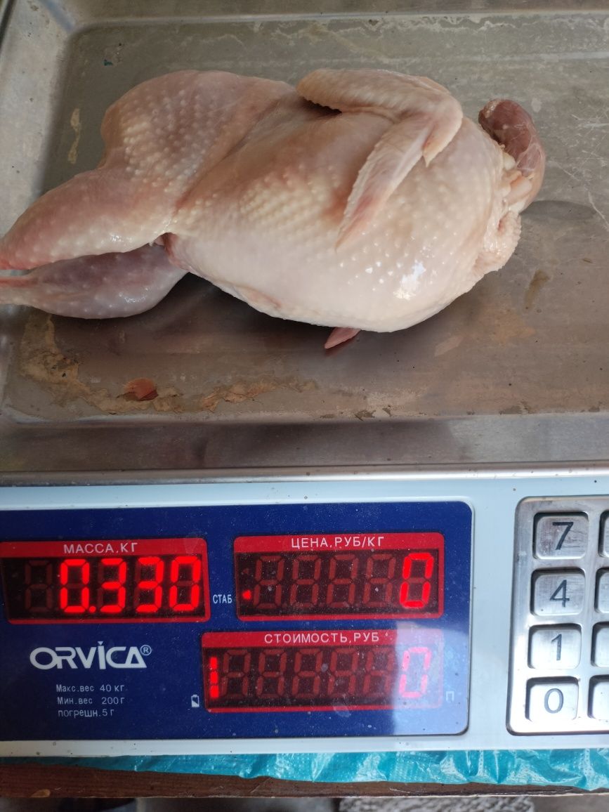 перепелки мясо яицо