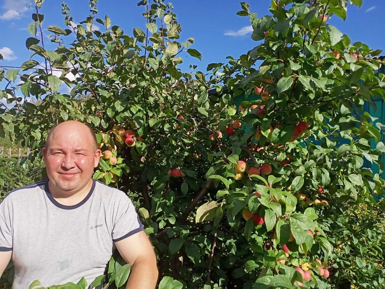 Продам Дачу Мечты в ПК СТ Борки