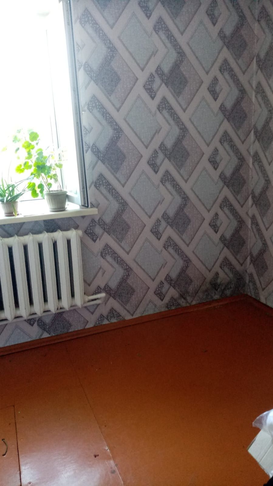 Продам дом в старой Согре
