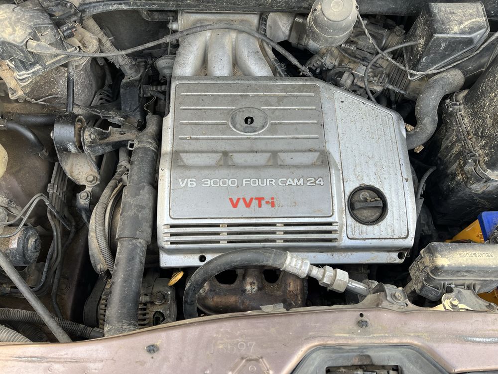 Морда Лексус RX300