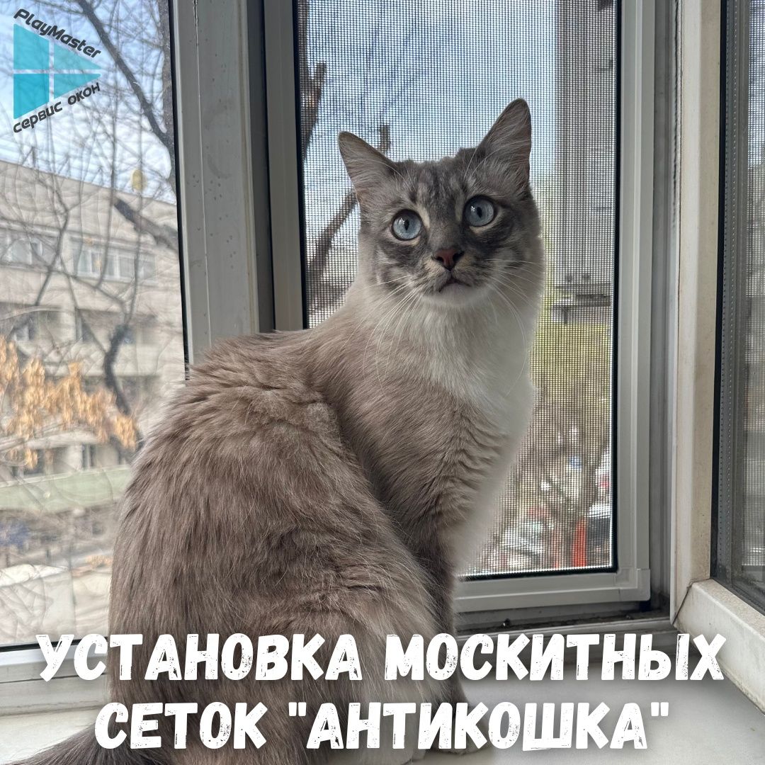 Замена резины. Ремонт окон и дверей. Утепление. Стеклопакеты. Окна.