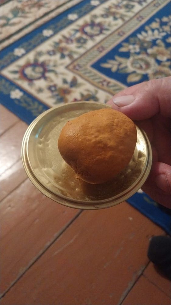Желчный камень коровы