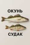 Принимаем свежий окунь и судак !