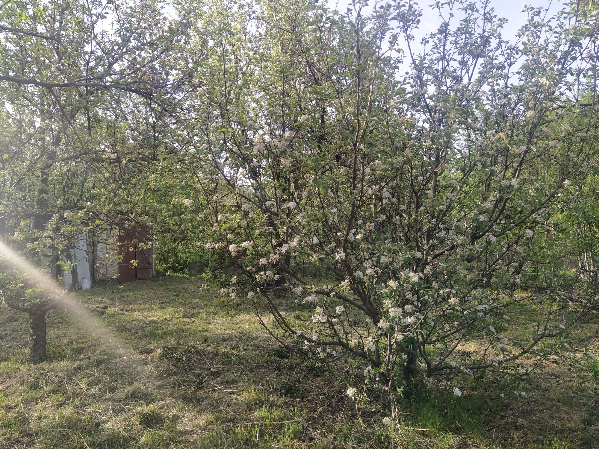 Продам дачу 6 соток