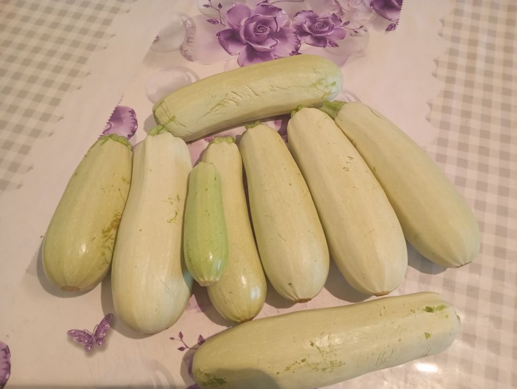 Продам сочные кабачки