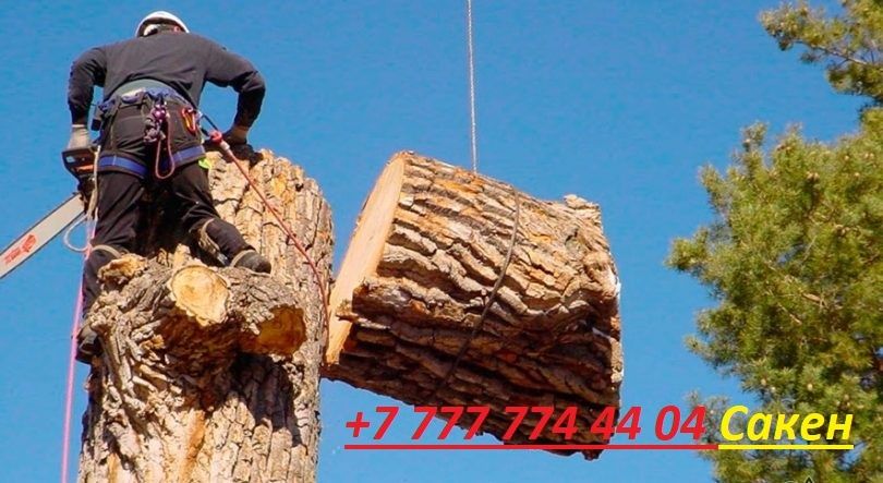 Демонтаж снос старых домов.планировка участки. вывоз веток и мусор ,