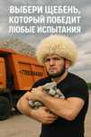 Щебень качаственный