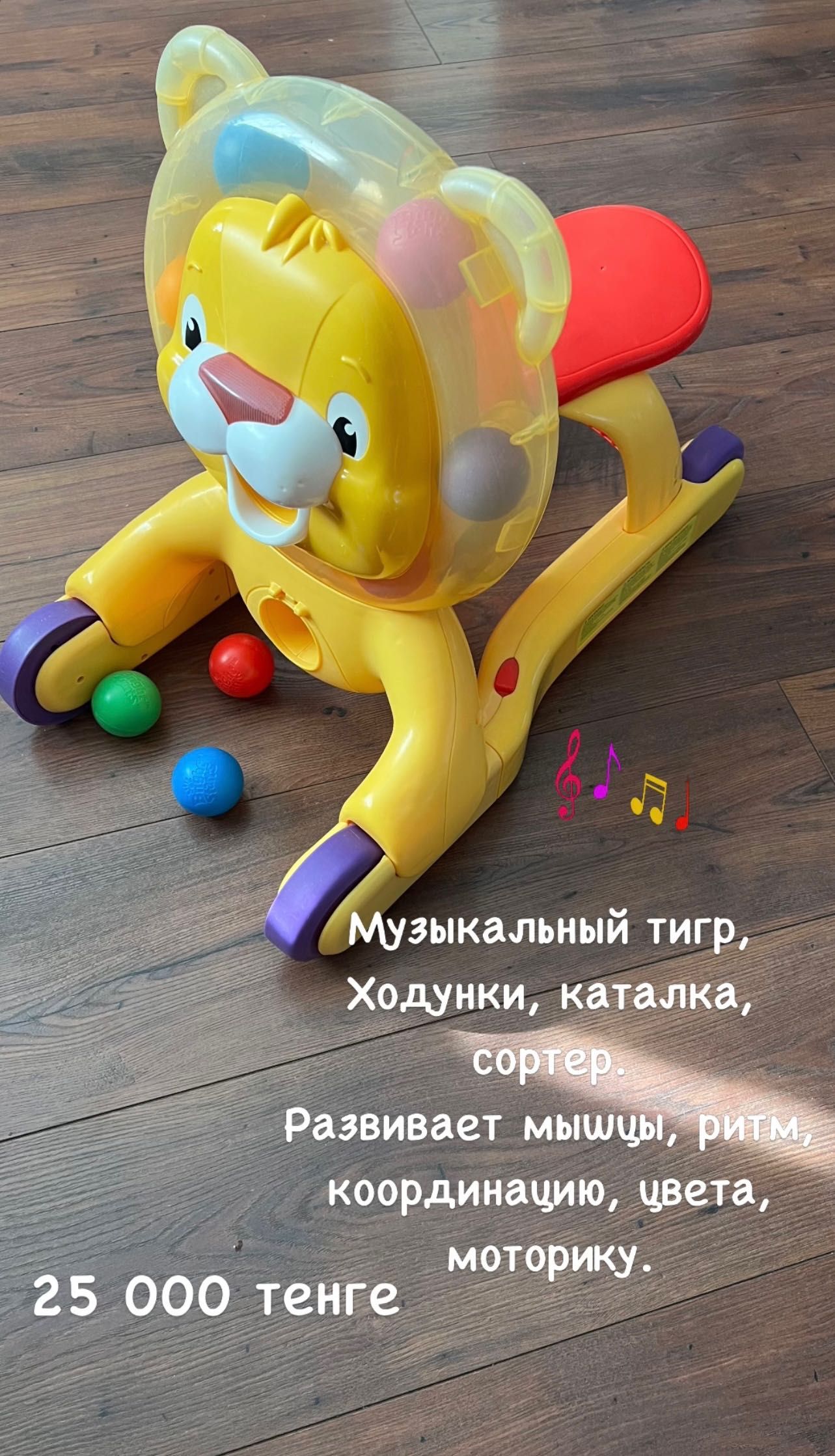 Ходунки, музыкальный развивающий центр