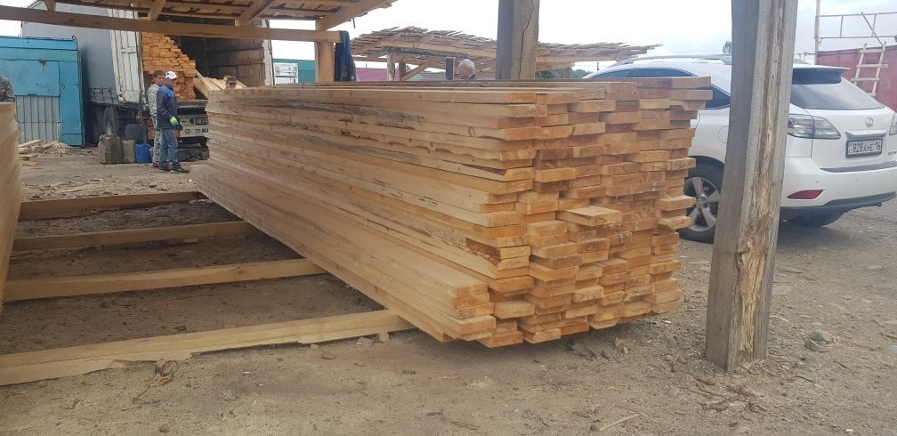 Сосна 50×200×6 метров