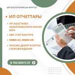 ИП отчеты грамотно и недорого