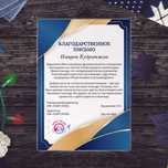 Благодарственные письма, грамоты, дипломы