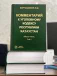 Комментарий к УК РК Борчашвили