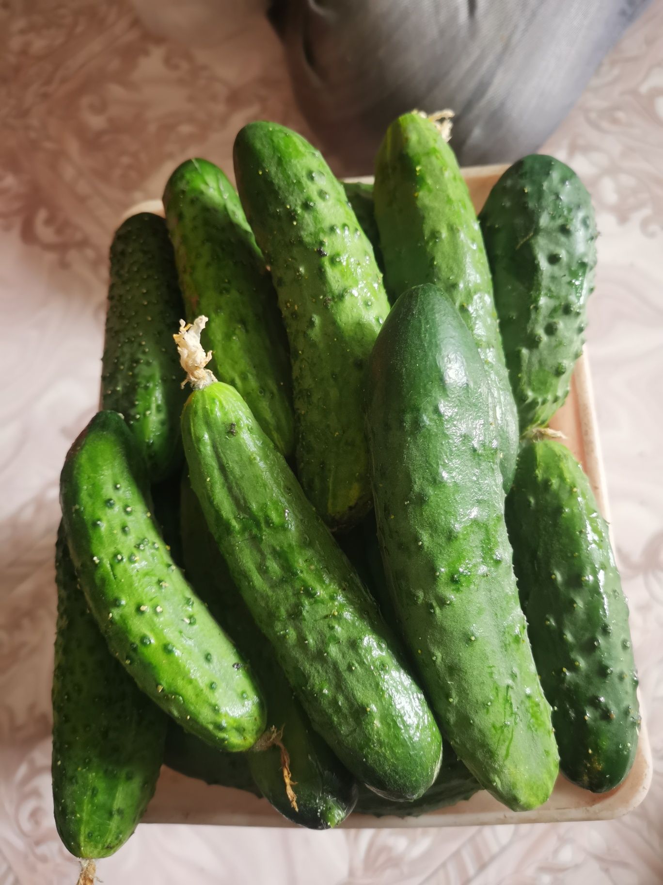 Продам домашние огурцы, на засолку