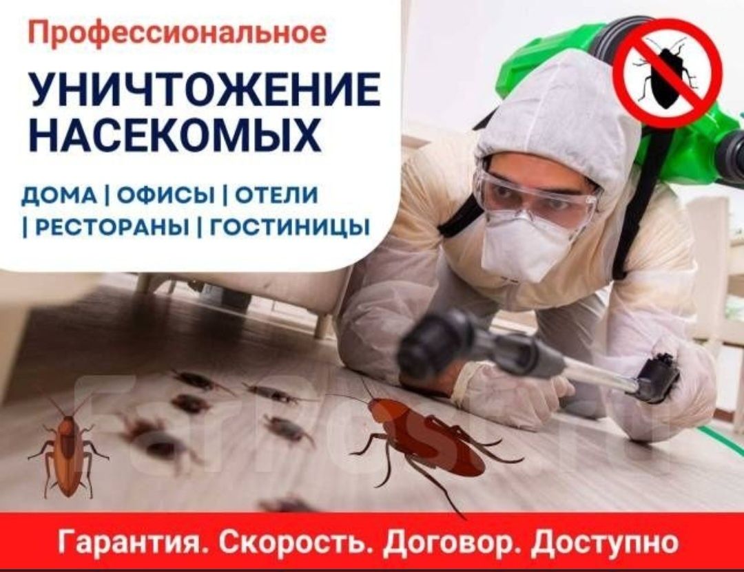Уничтожение клопов и тараканов и блох