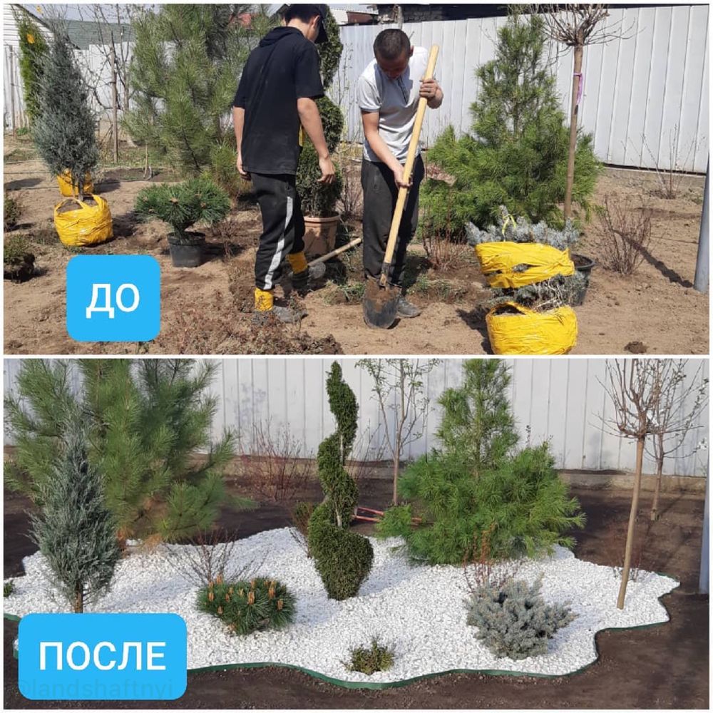 Ландшафтный дизайн, озеленение, посадка, пересадка,  благоустройства