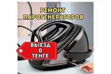 Ремонт парогенераторов на дому. Замена ТЭНа. Выезд бесплатно. Гарантия