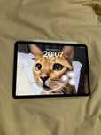 Ipad Pro 11, 2022, куплен в 2023