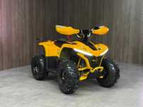 Квадроцикл Sharmax E-200 Cross