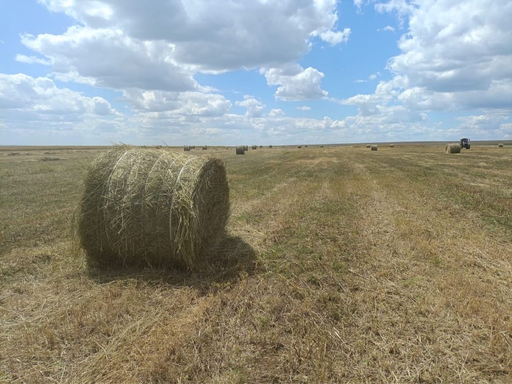 Сено с доставкой