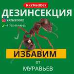Тараканы,  клопы,  СЭС ,дезинфекция