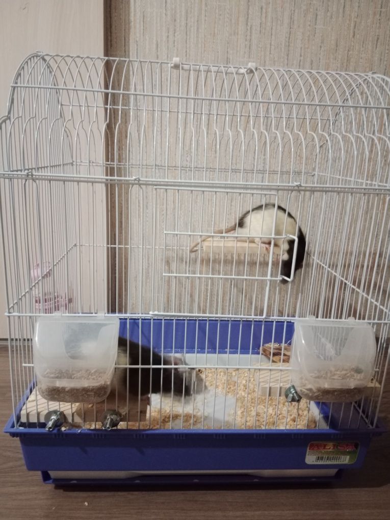Клетка продам срочно