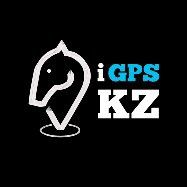 Спутниковый GPS для лошадей