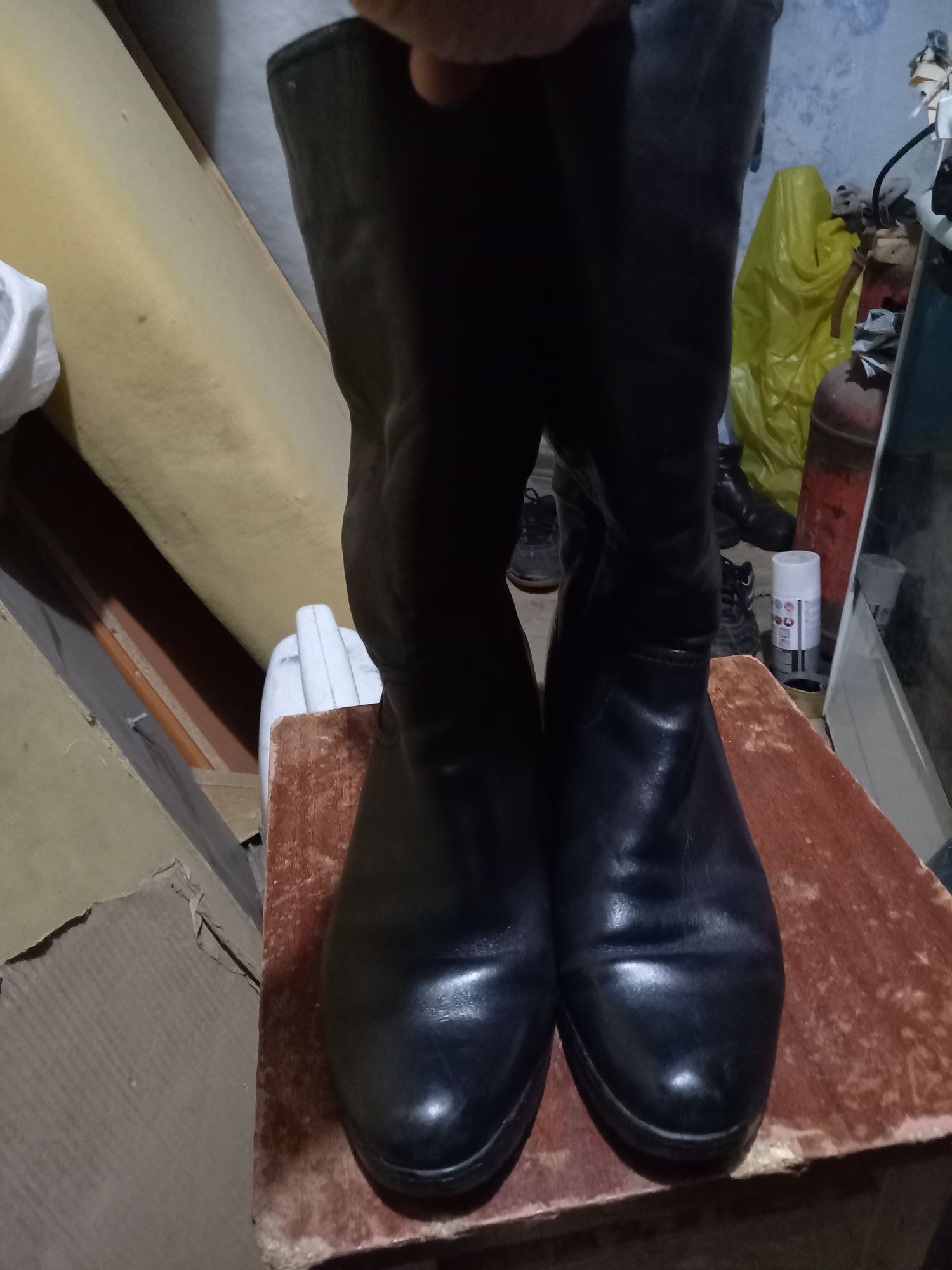 Продам женские сапоги