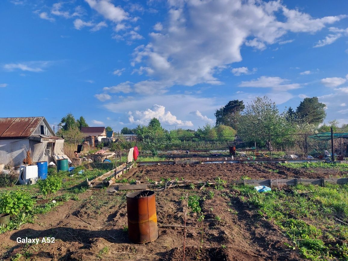 Продам дачу сад Здоровье