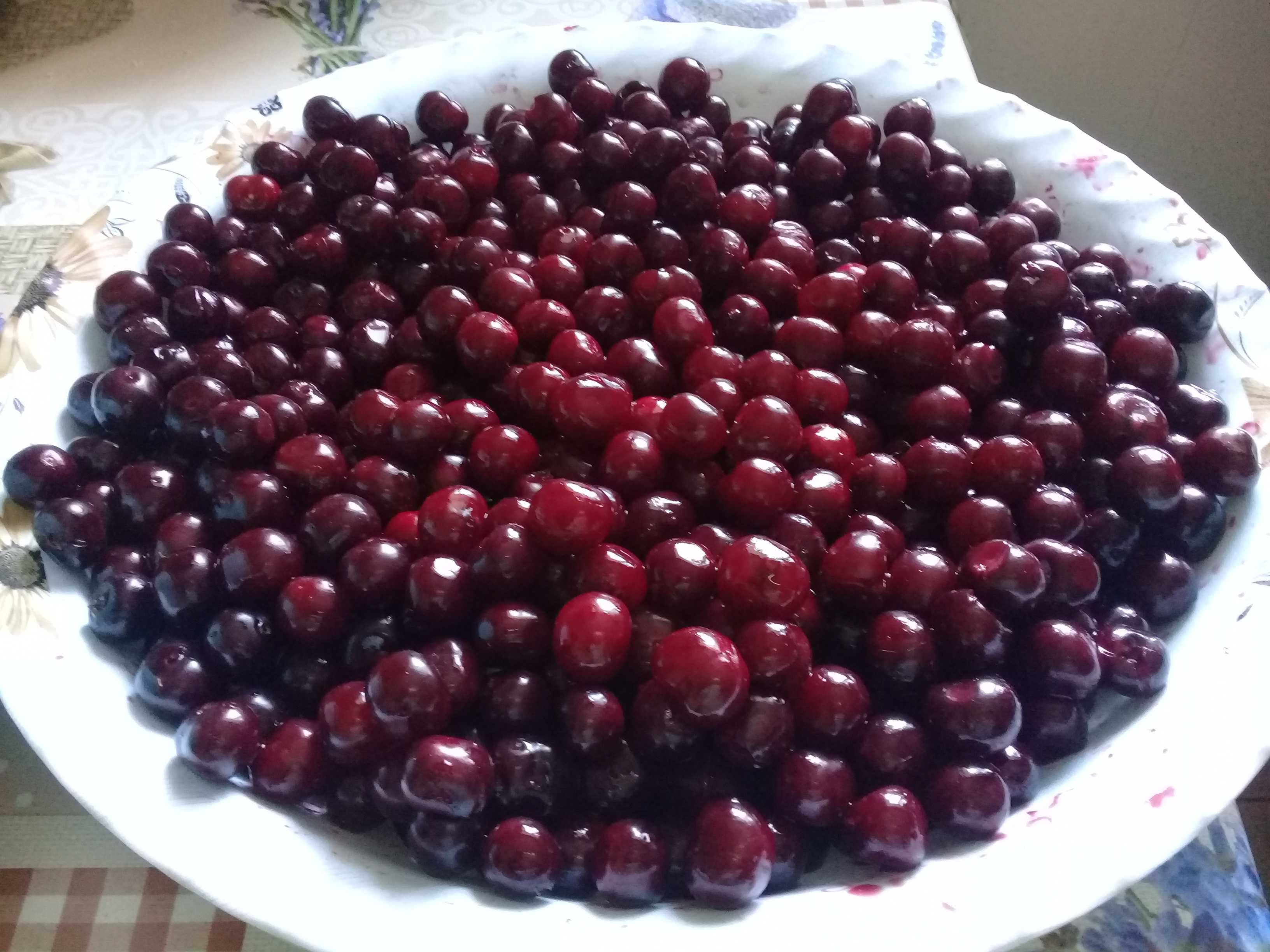 Продам садовую вишню- Есть свежая и замороженная