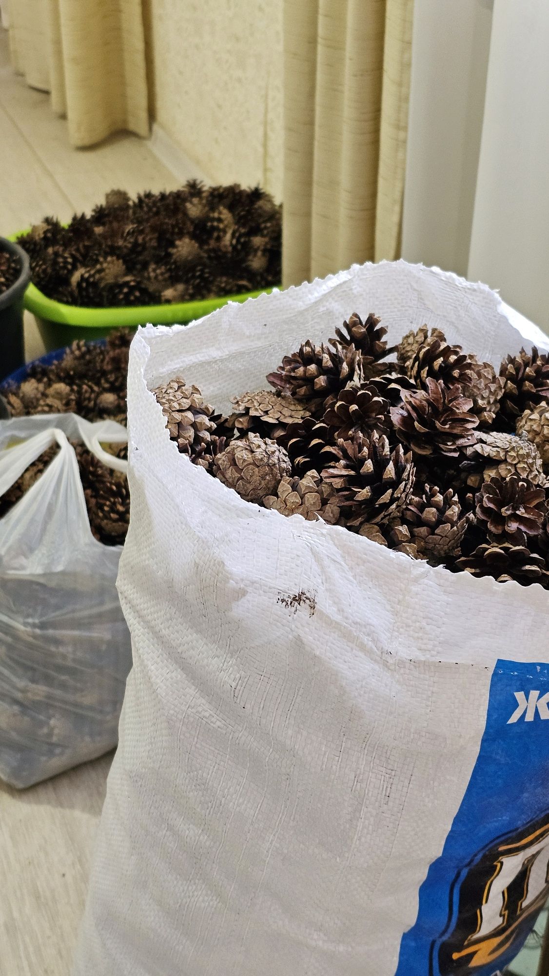 Продам шишки сосновые