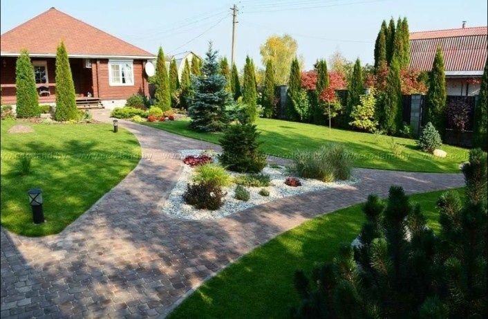 Газон,озеленение под ключ
