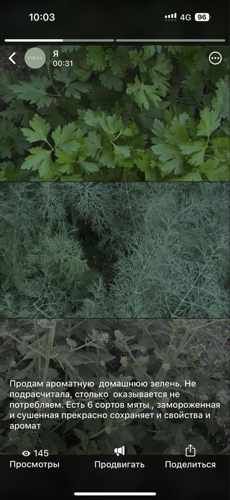 Продам домашнюю зелель. Укроп , петрушка , лук ,кинза ,мята.