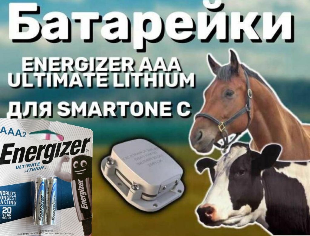 Energizer 20year