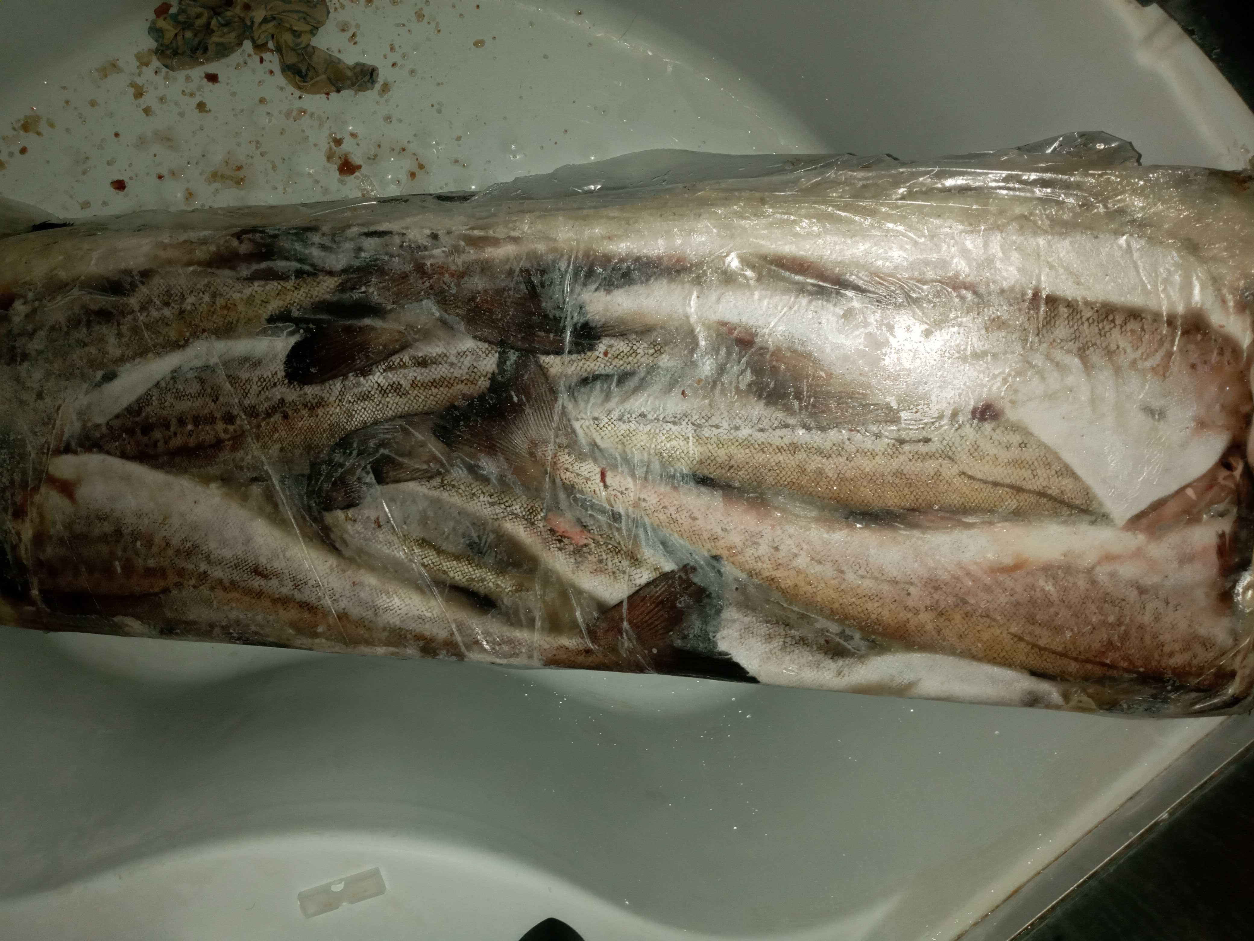 Креветки королевские 50/70. Упаковка 5 кг. Доставка бесплатно.
